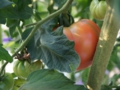 DSC06504.JPG